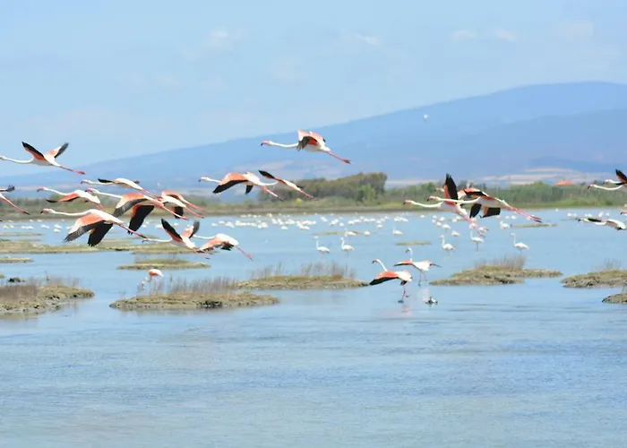 Terre Del Sinis カブラス