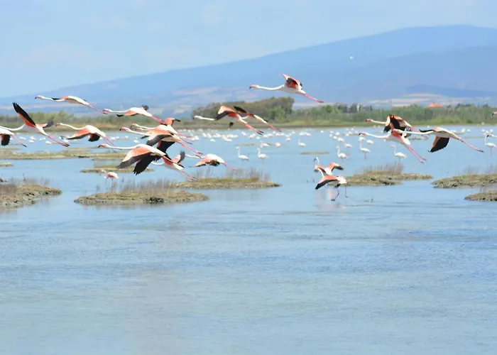 Terre Del Sinis カブラス