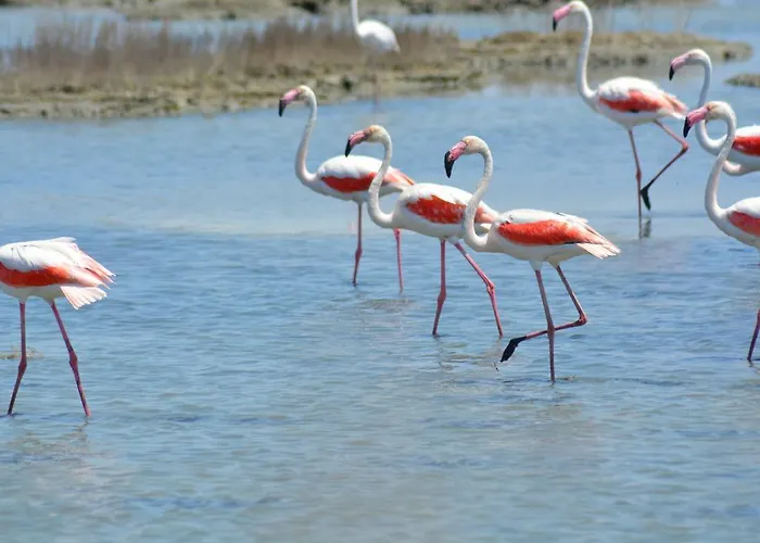 ベッド・アンド・ブレックファスト Terre Del Sinis 3*