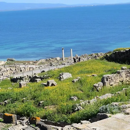 Oda ve Kahvaltı Terre Del Sinis Càbras