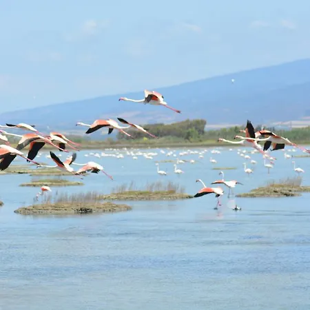 Terre Del Sinis Càbras