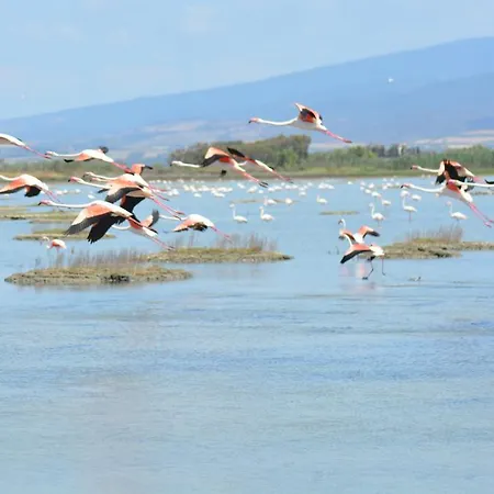 Terre Del Sinis Càbras
