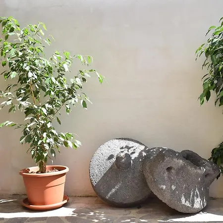 Terre Del Sinis Bed & Breakfast Càbras